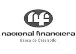 Sye :: Nacional Financiera
